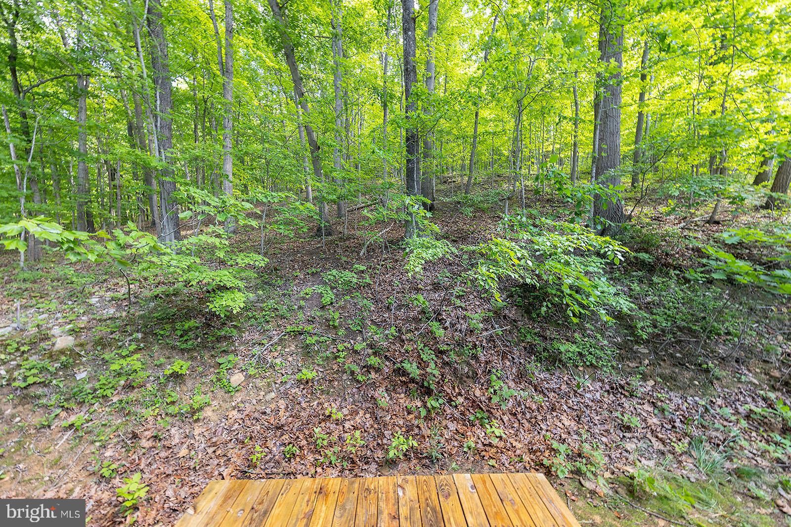 5534 Howellsville Road Front Royal, VA 22630 - Photo 41 of 42