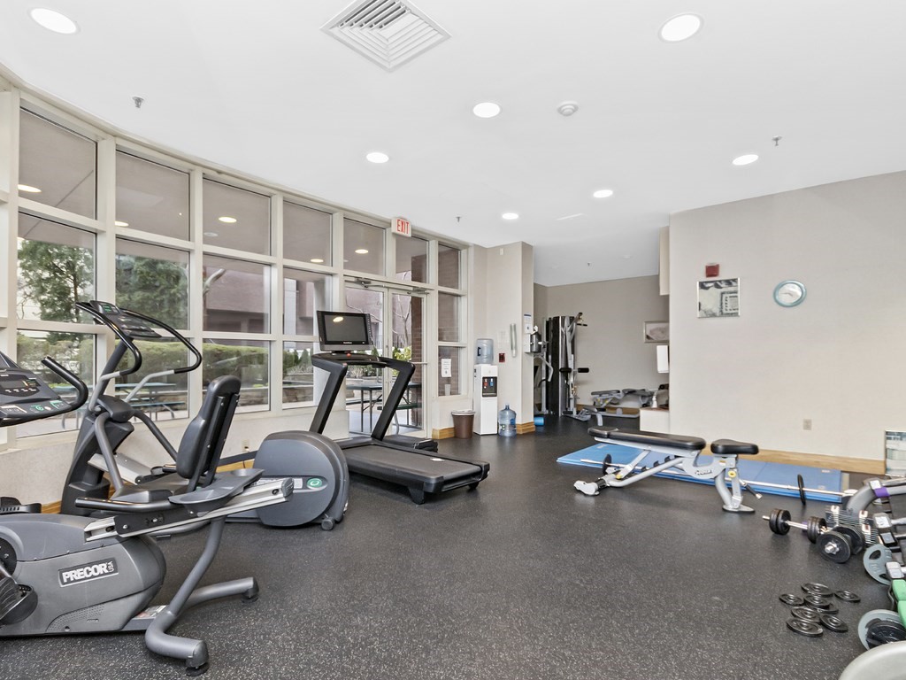 25 Marion Street, Unit PH3 Brookline, MA 02446 - Photo 17 of 22 a view of a room with gym equipment