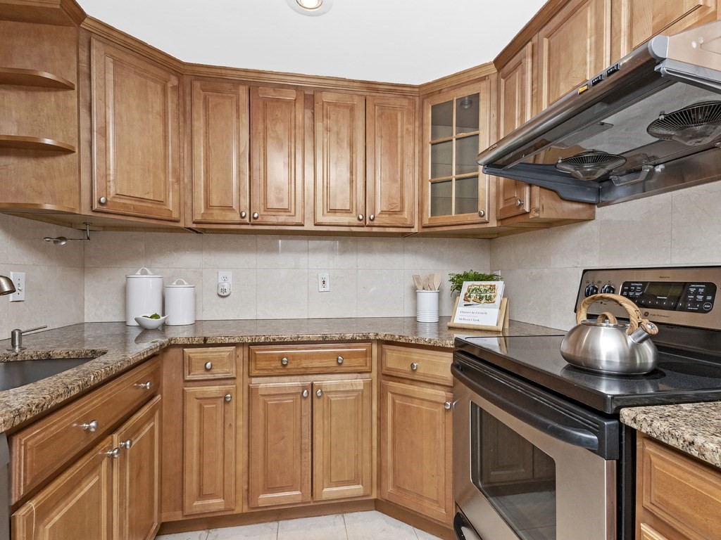 25 Marion Street, Unit PH3 Brookline, MA 02446 - Photo 6 of 22 a kitchen with granite countertop a sink stainless steel appliances and cabinets