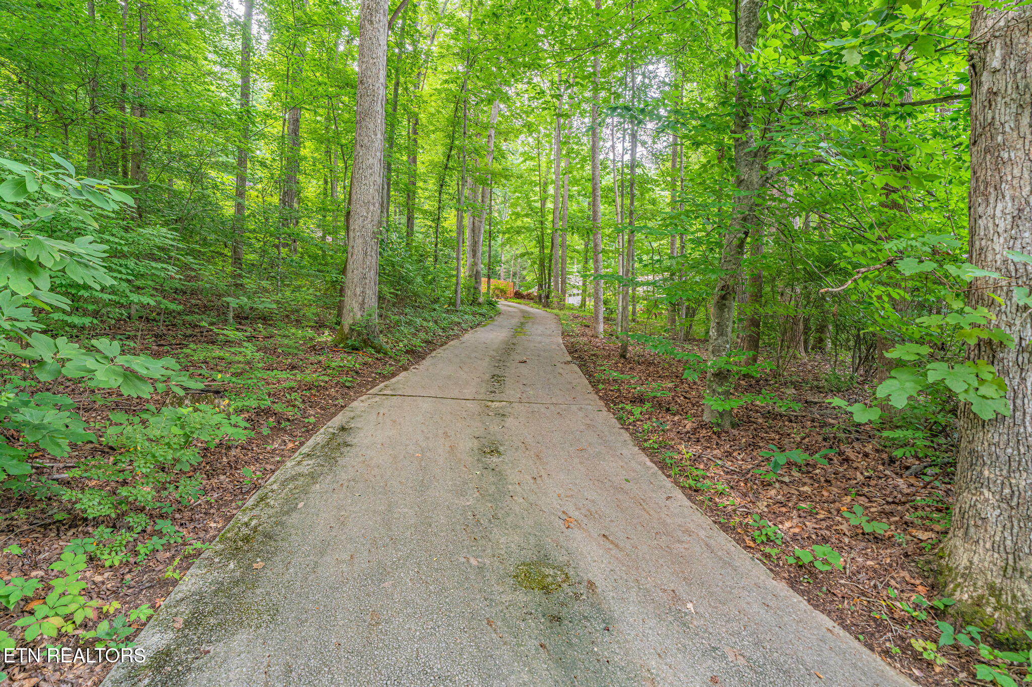 1130 West Outer Drive Oak Ridge, TN 37830 - Photo 49 of 57 Private Driveway