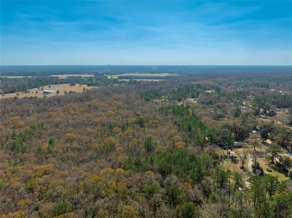 a view of a forest