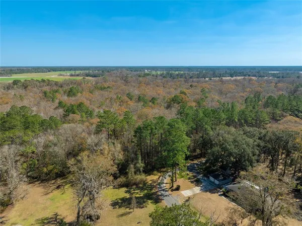 a view of city and green space