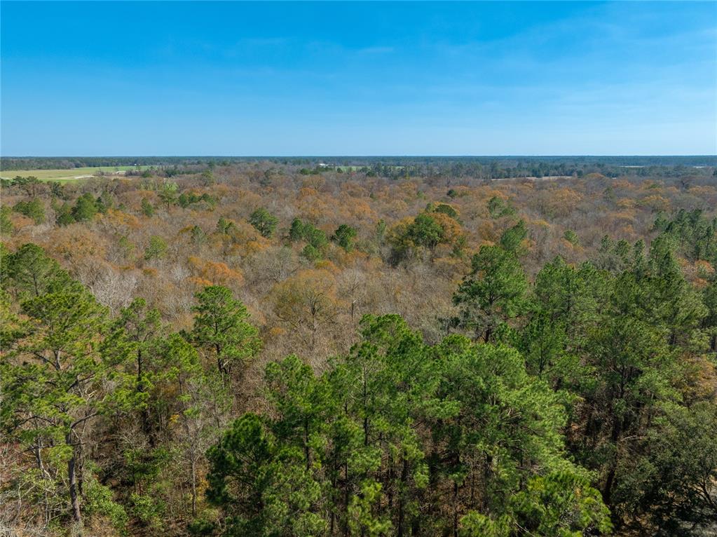 Fouracre Circle Callahan, FL 32011 - Photo 18 of 31 an aerial view of a houses with a yard