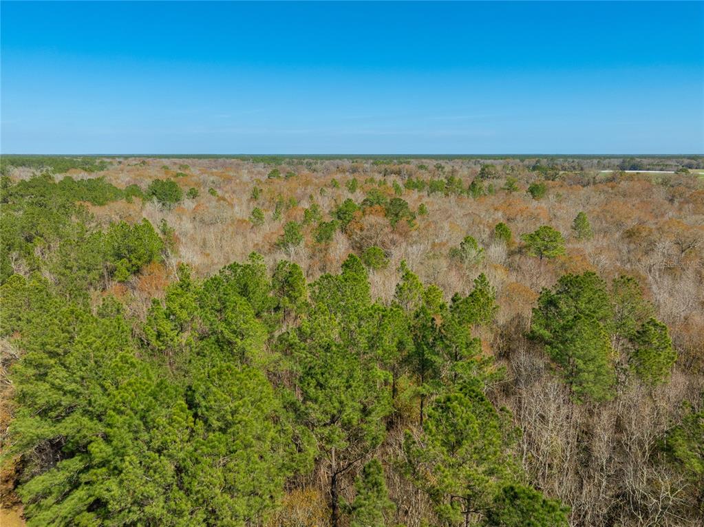 Fouracre Circle Callahan, FL 32011 - Photo 20 of 31