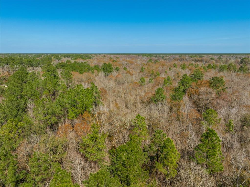 Fouracre Circle Callahan, FL 32011 - Photo 22 of 31 a view of city and green space