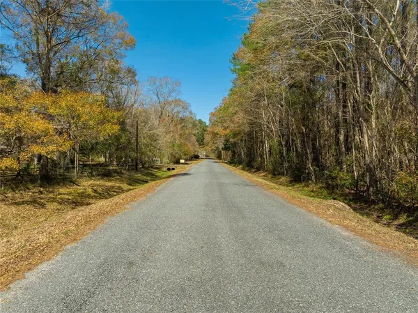 a view of a road with a yard