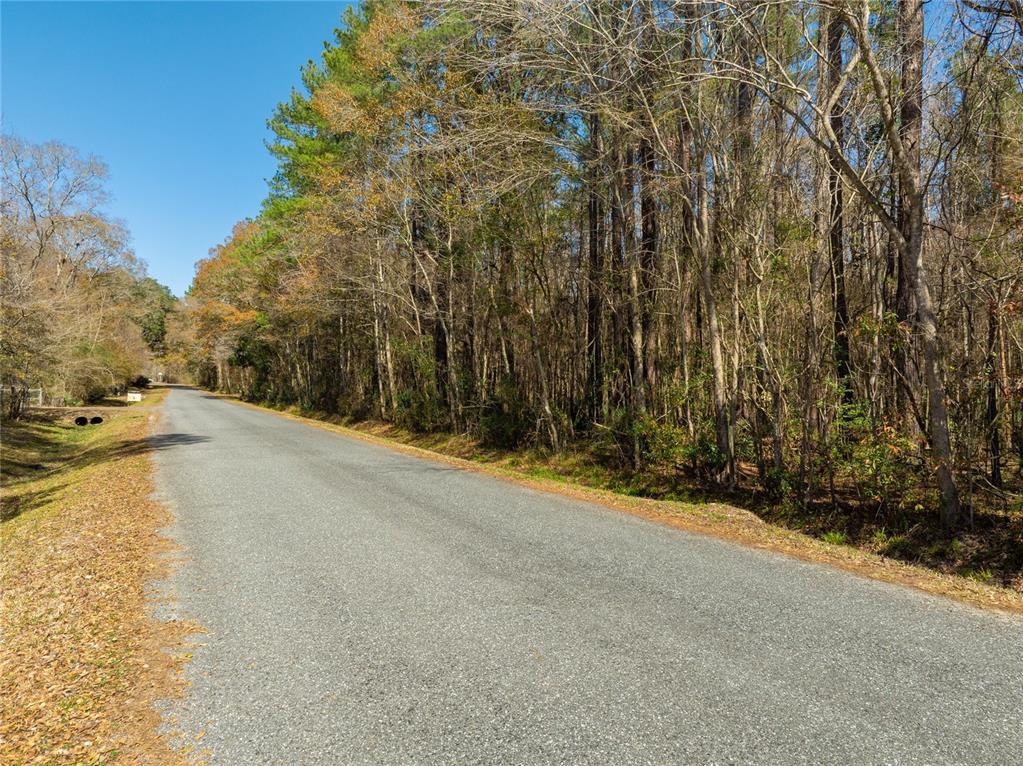 Fouracre Circle Callahan, FL 32011 - Photo 25 of 31 a view of a swimming pool and tall trees