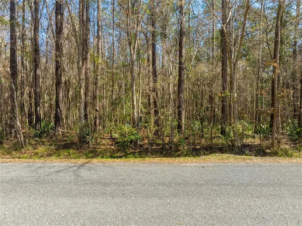 a view of yard with trees