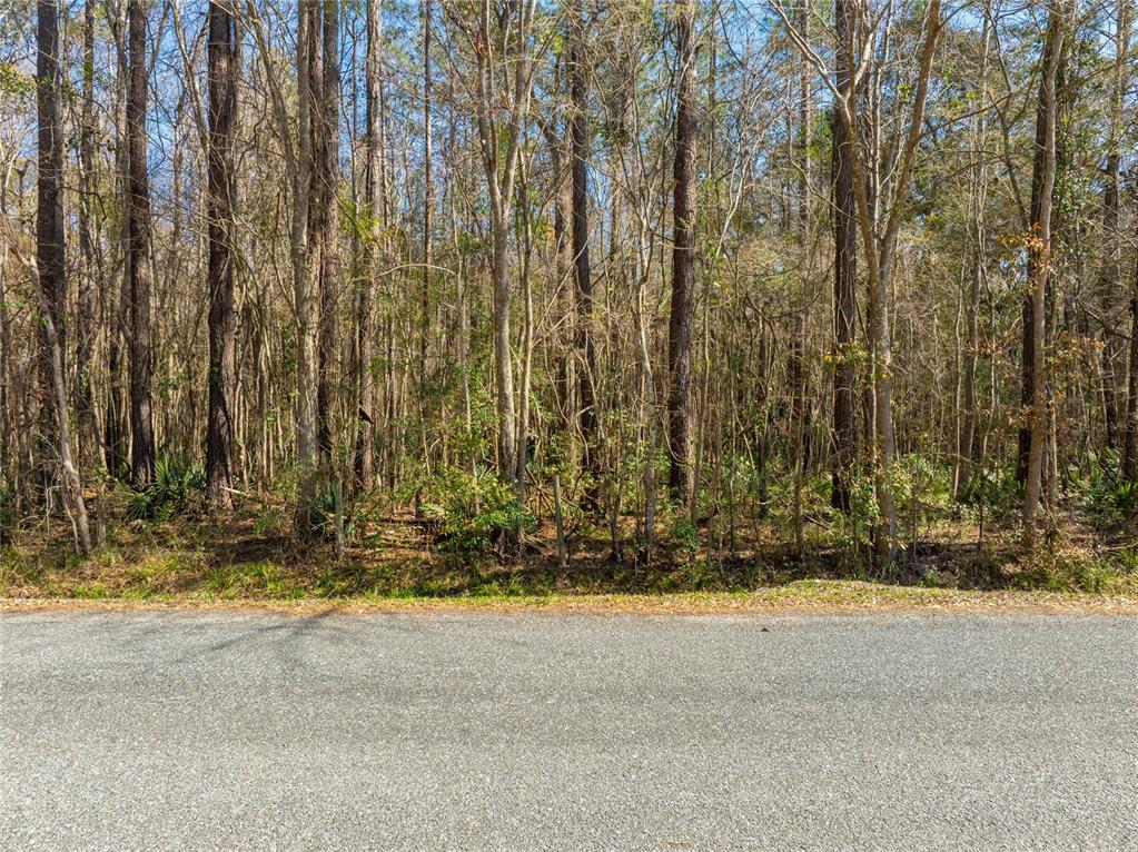 Fouracre Circle Callahan, FL 32011 - Photo 26 of 31 a view of building with trees