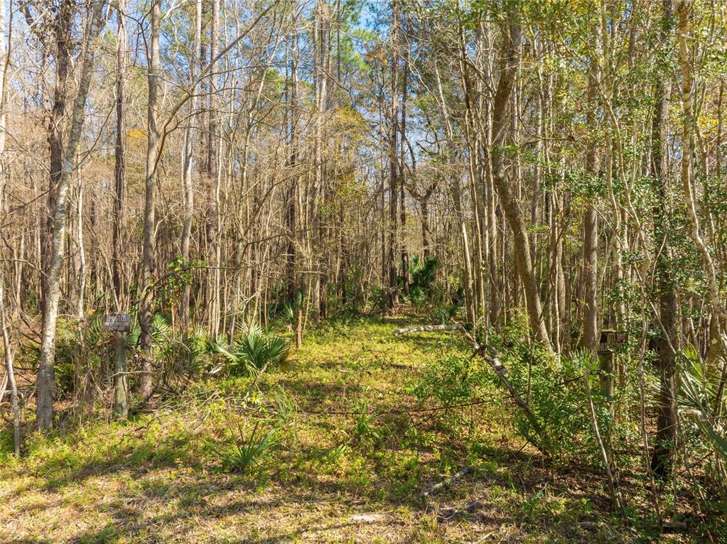 Fouracre Circle Callahan, FL 32011 - Photo 30 of 31 a bathroom with a small yard