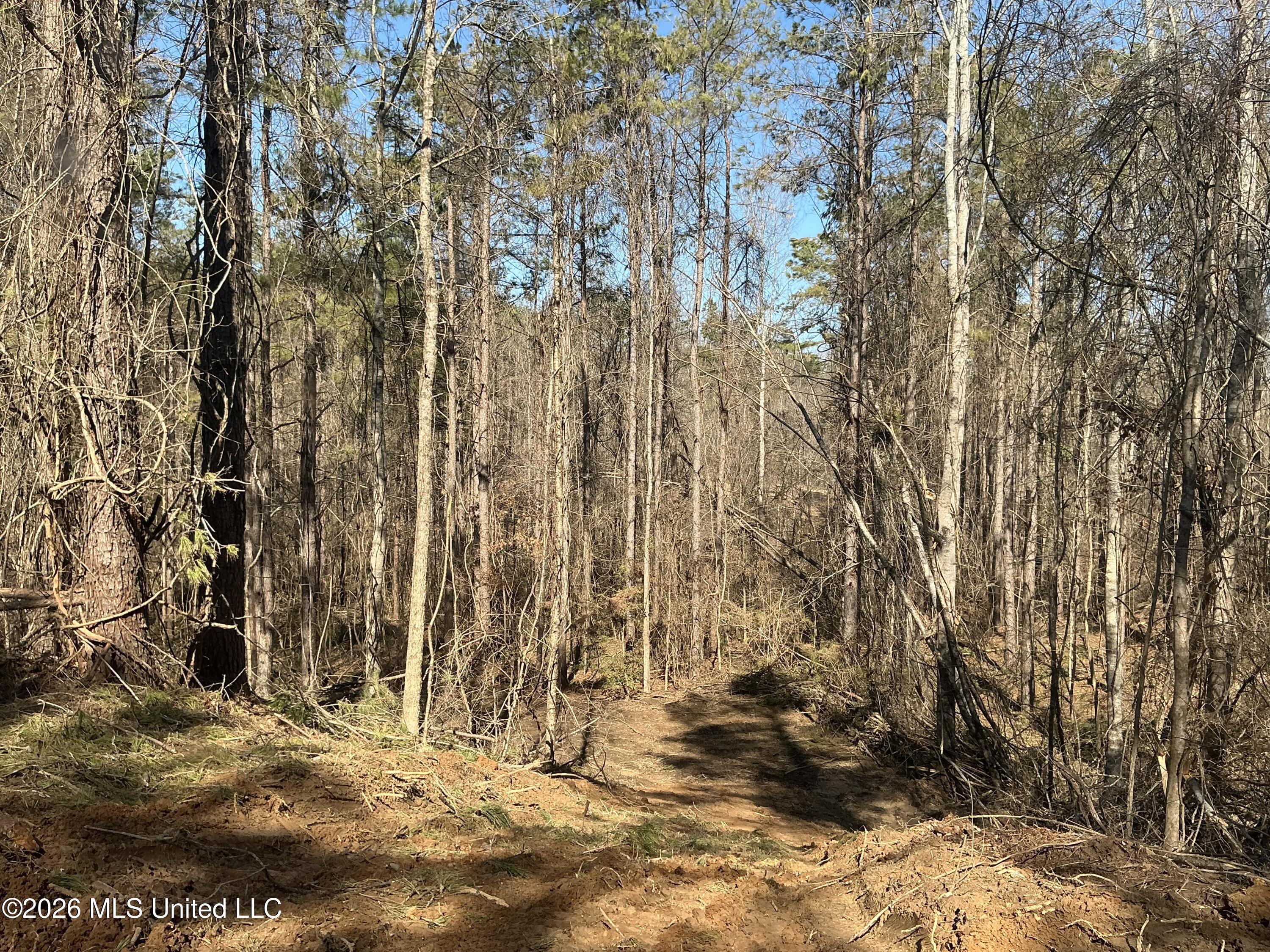 Norwood Road Carrollton, MS 38917 - Photo 17 of 28 IMG_0660