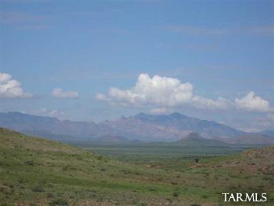 0 West White Tail Ridge Ranch Road Pearce, AZ 85625 - Photo 4 of 4