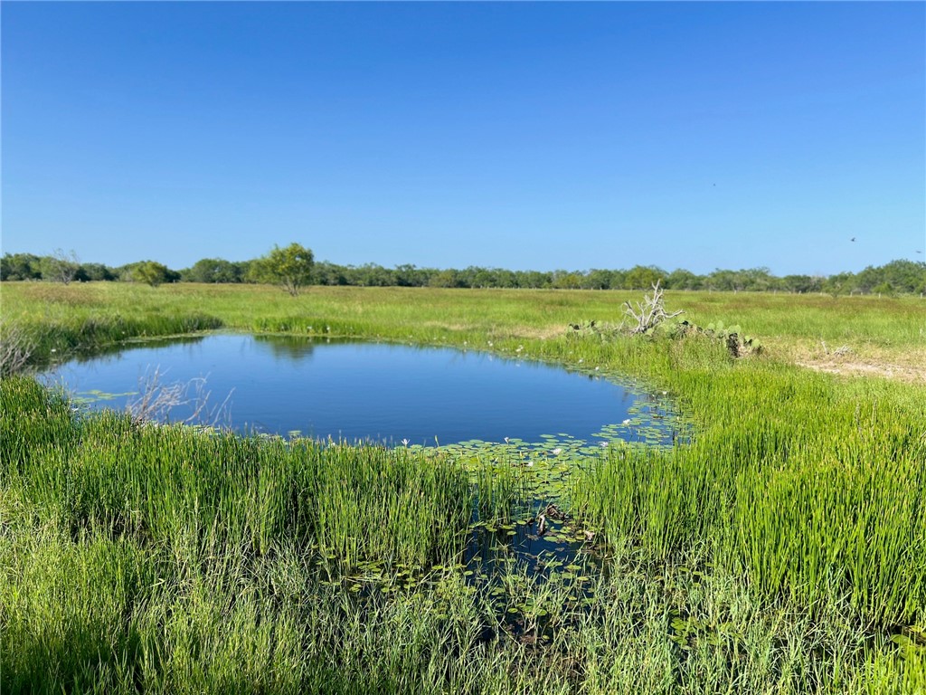 0 Fm 771 Riviera, TX 78379 - Photo 26 of 27 Small pond area. Photo taken by owner.