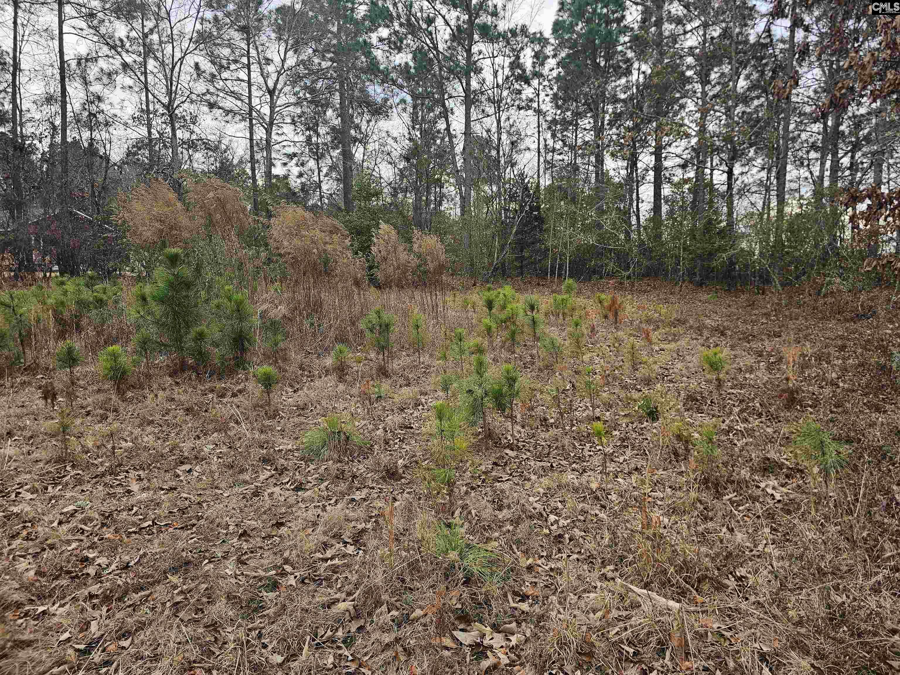 722 Jeff Sharpe Road Gaston, SC 29053 - Photo 9 of 18