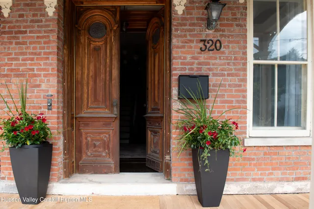 a potted plant sitting in front of a door