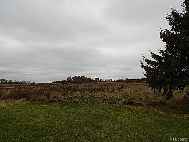 8690 Buell Road Millington, MI 48746 - Photo 24 of 29 262-162149 - Yard.JPG