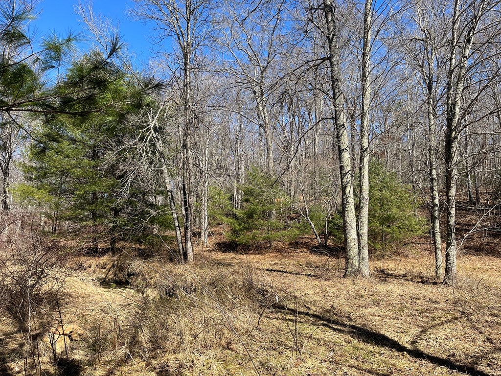 0 Sunny Ridge Road Northeast, Unit 3E Floyd, VA 24091 - Photo 18 of 37 Gallery Image 18