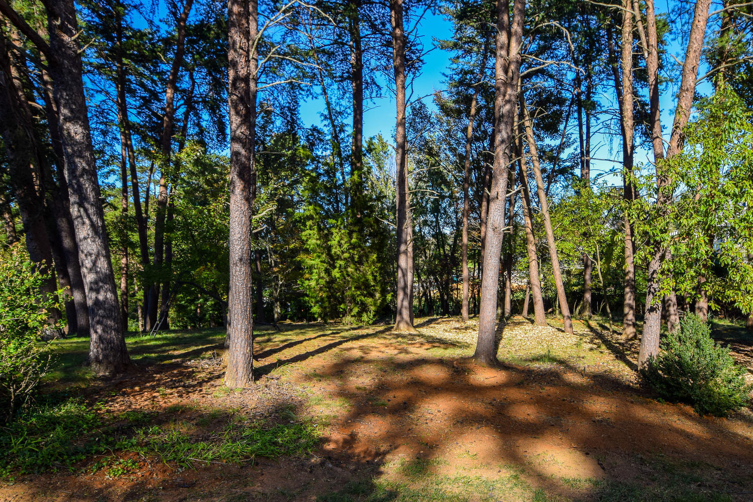 4525 Grandin Road Southwest Roanoke, VA 24018 - Photo 28 of 32 28