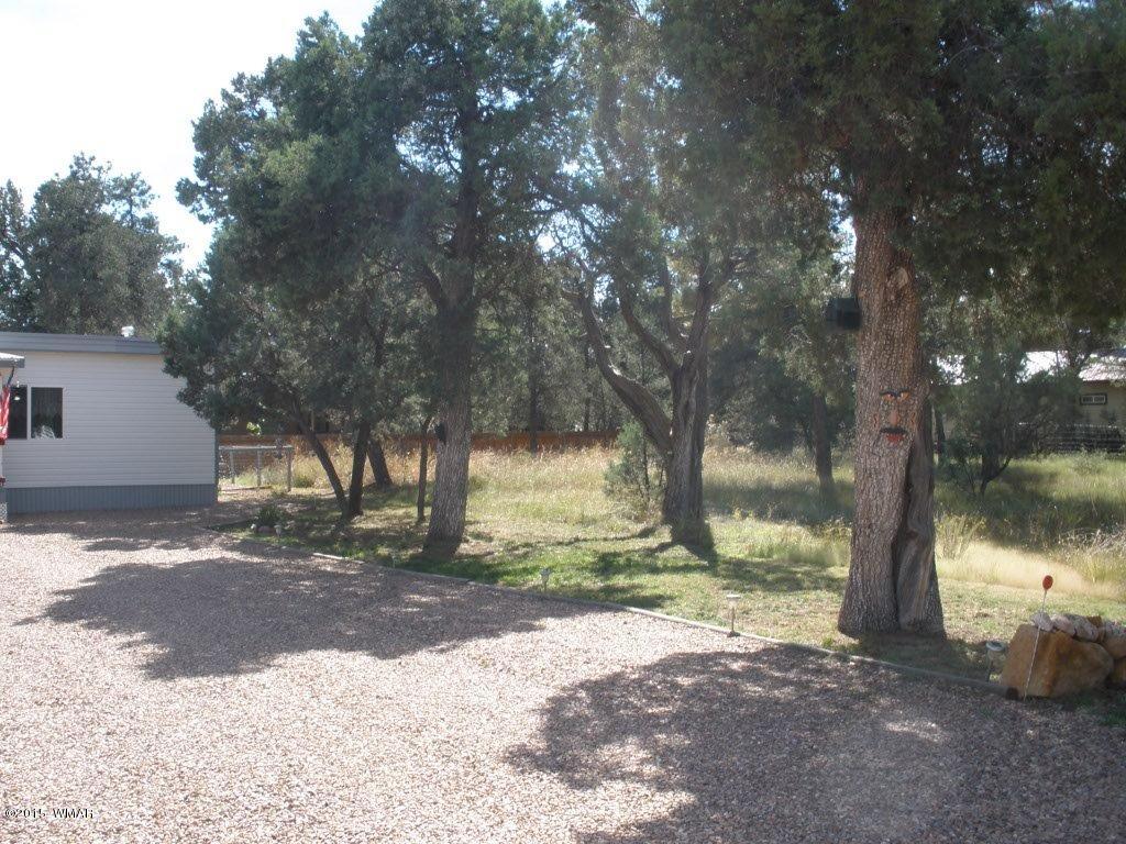 2135 Wildflower Road Overgaard, AZ 85933 - Photo 5 of 44 a view of a yard with a tree