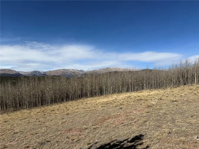 a view of a backyard of a house