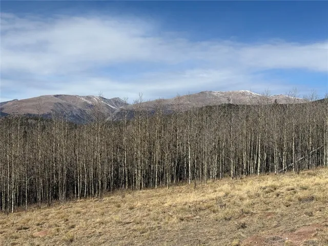 a view of a yard with wooden fence