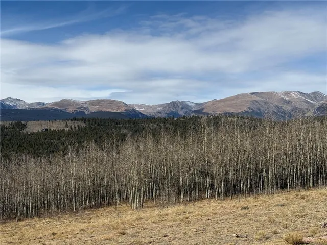 $415,000 | 416 Little Baldy Circle, Fairplay, CO 80440