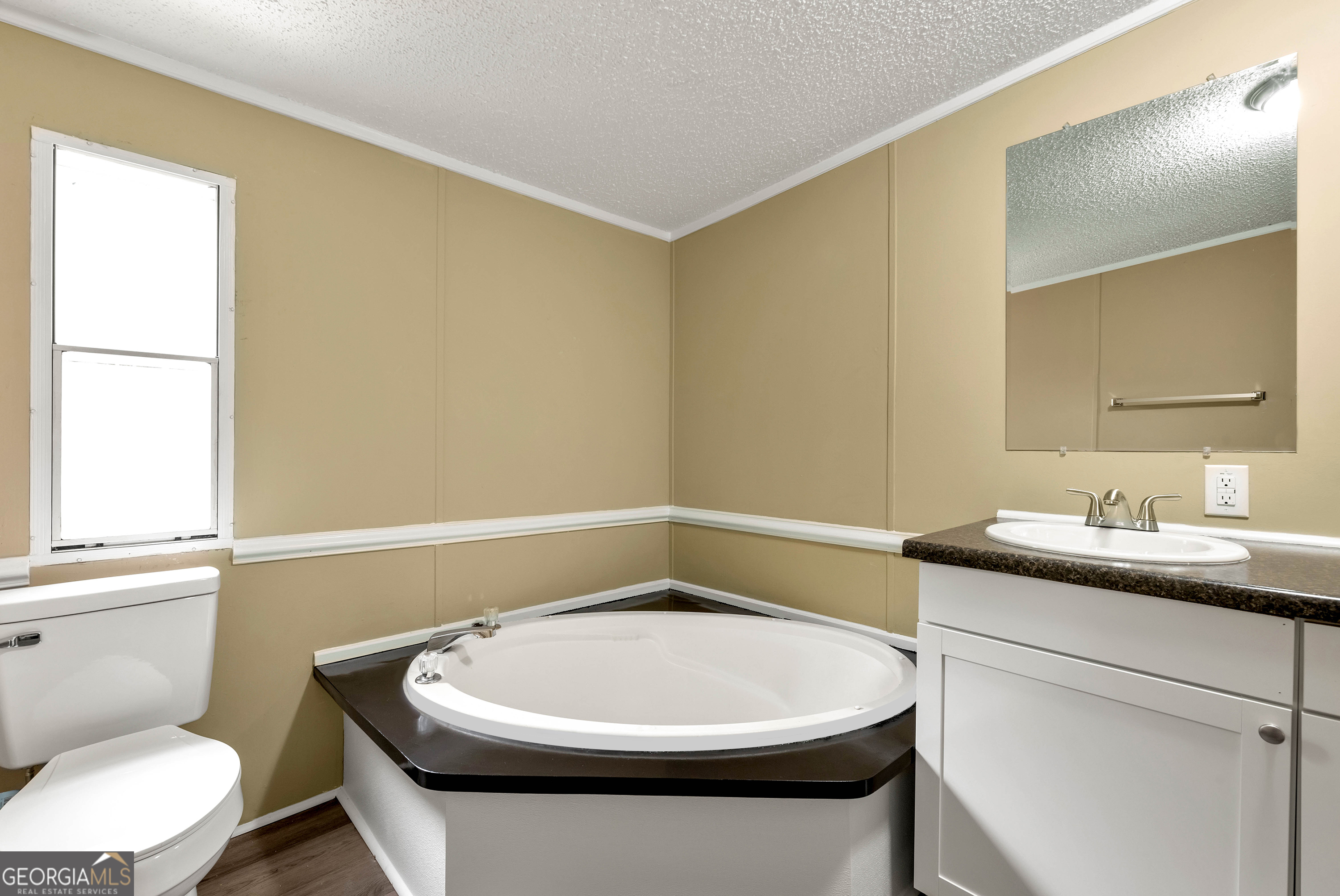 255 Double Branch Road Danielsville, GA 30633 - Photo 31 of 46 a bathroom with a toilet a sink and a mirror