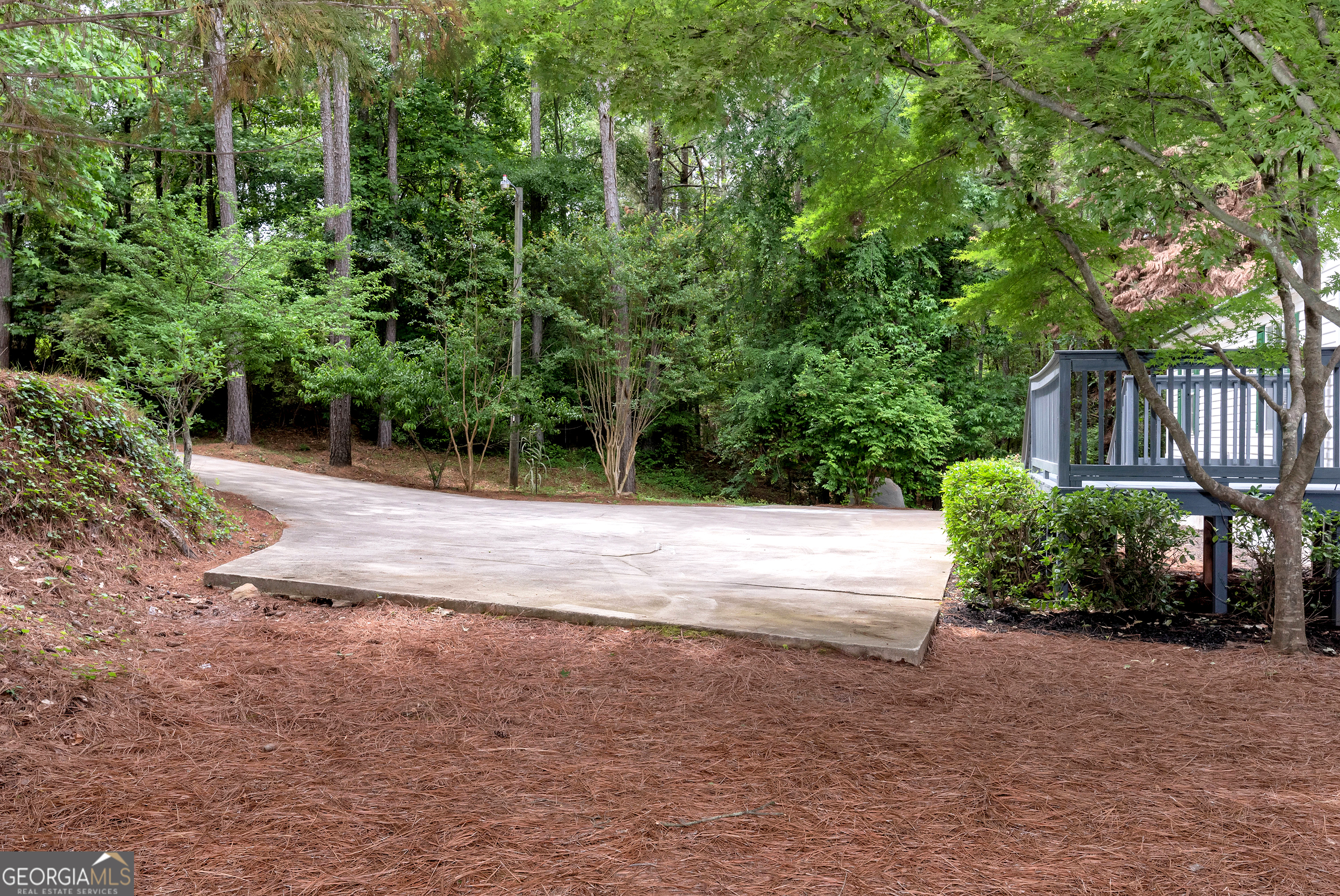 255 Double Branch Road Danielsville, GA 30633 - Photo 35 of 46 a view of a yard with plants and trees