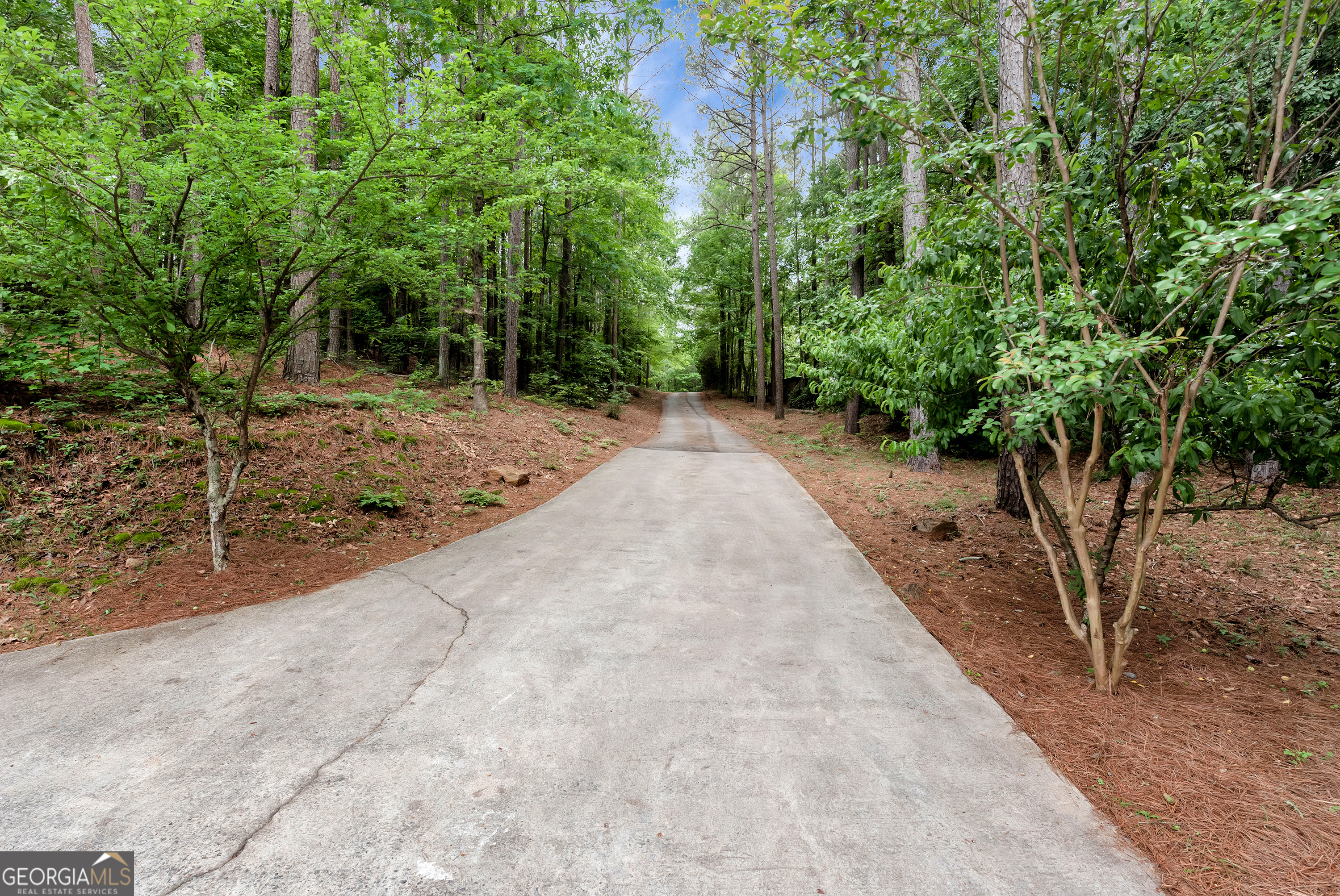 255 Double Branch Road Danielsville, GA 30633 - Photo 36 of 46 a view of a yard with plants and trees