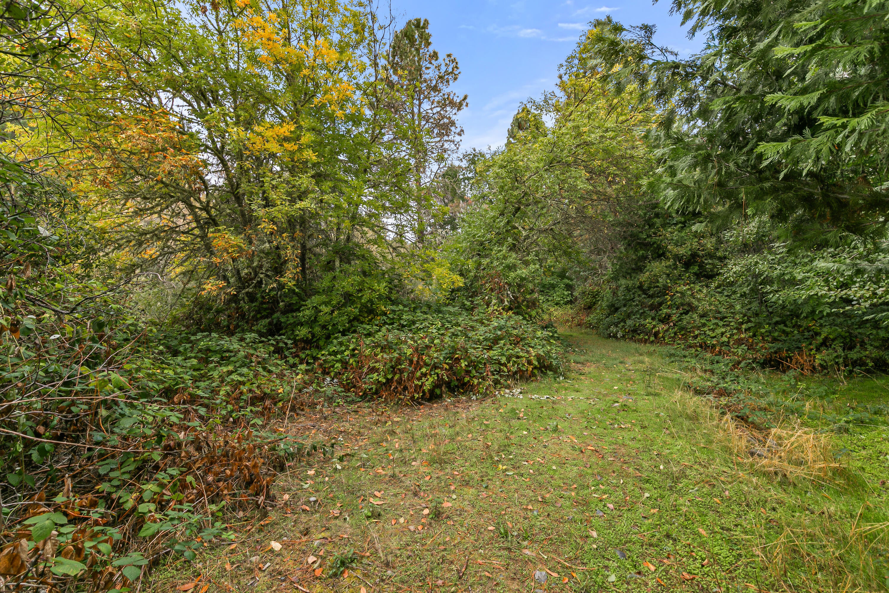 1225 Messinger Road Williams, OR 97544 - Photo 53 of 67 pond trail