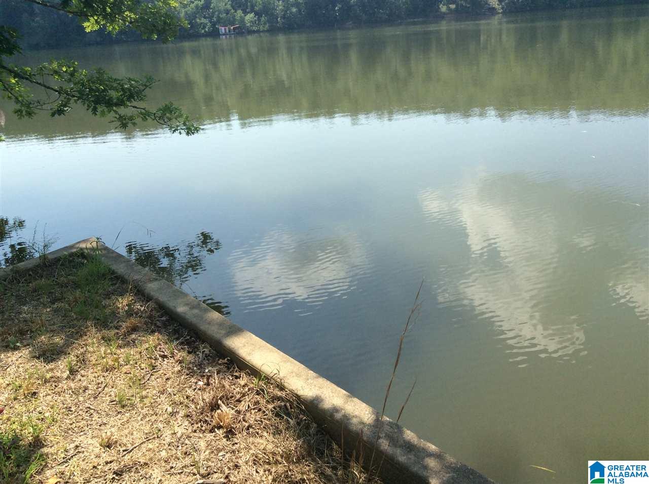 150 Holiday Estates Road Ashville, AL 35953 - Photo 20 of 34