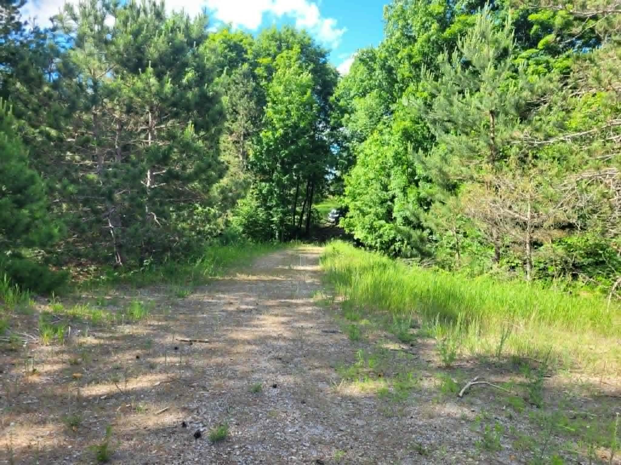 0 West 12 1/2 Road Mesick, MI 49668 - Photo 19 of 20