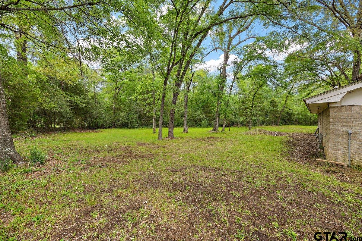 343 Farm To Market 1819 Pollok, TX 75969 - Photo 6 of 18
