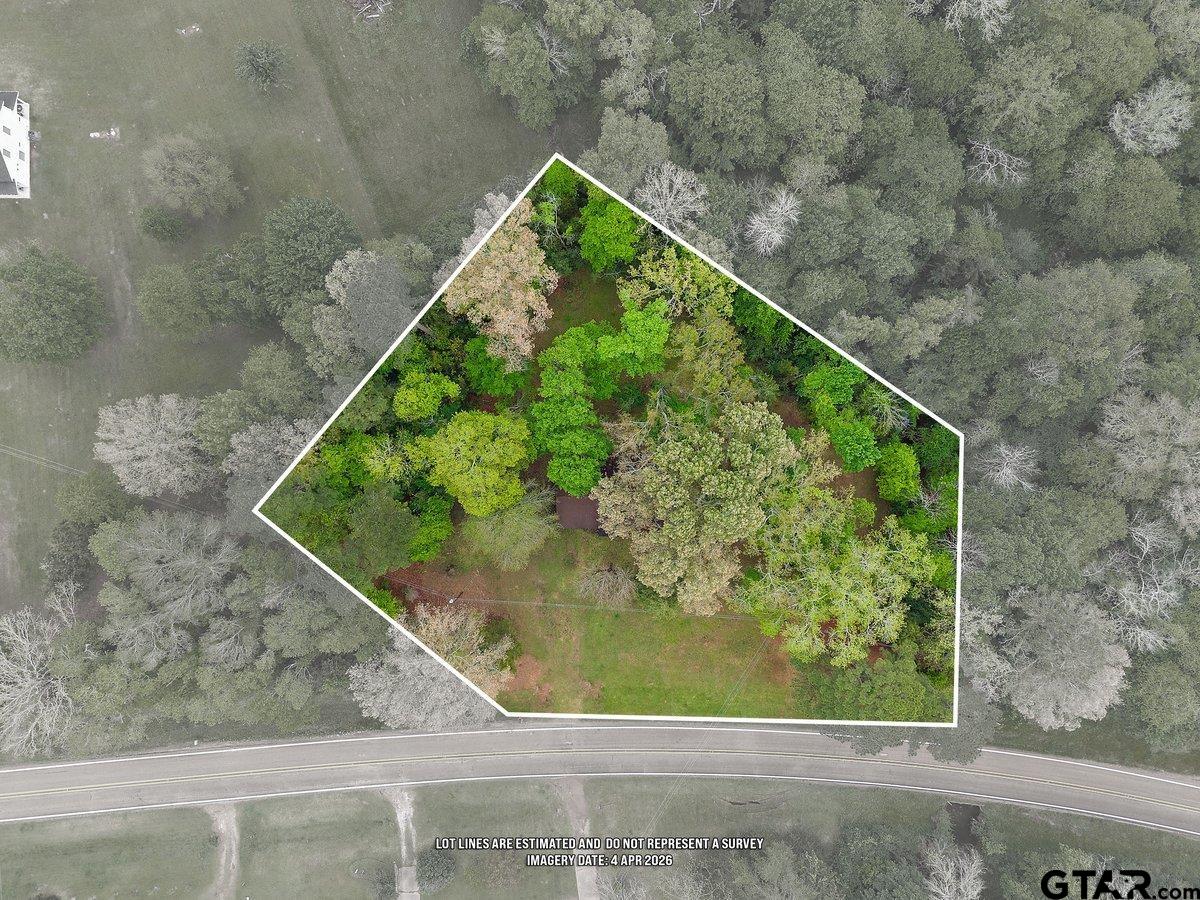343 Farm To Market 1819 Pollok, TX 75969 - Photo 8 of 18
