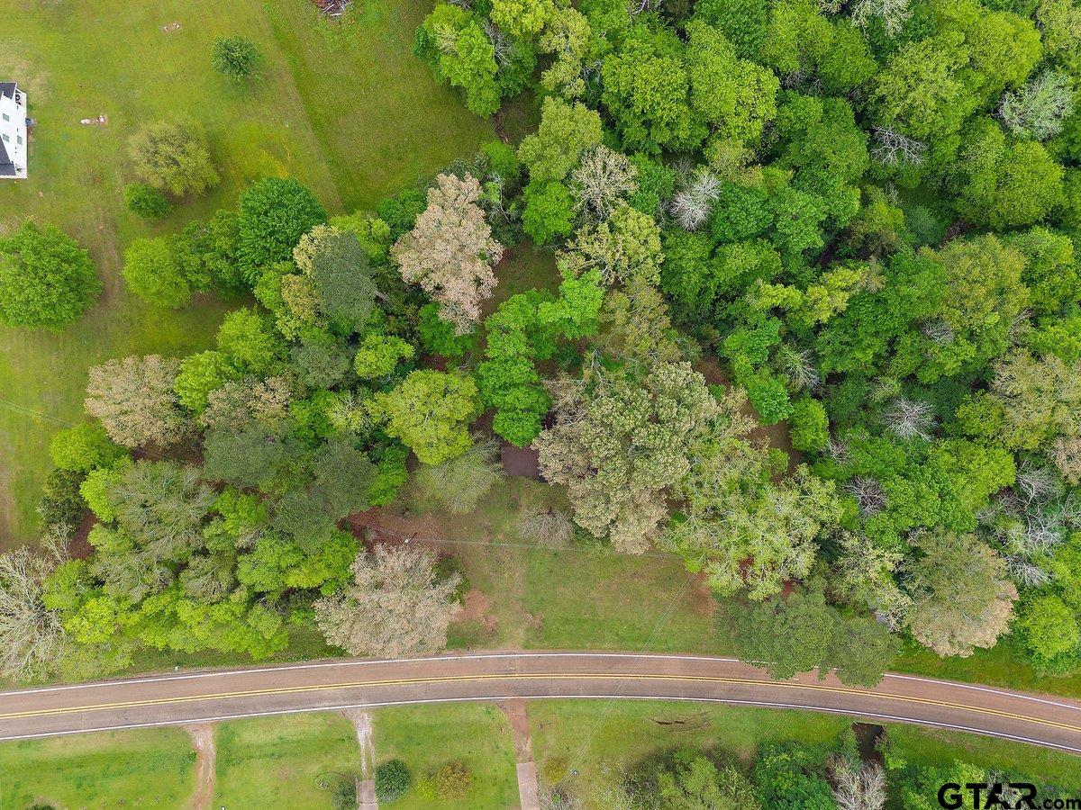 343 Farm To Market 1819 Pollok, TX 75969 - Photo 10 of 18