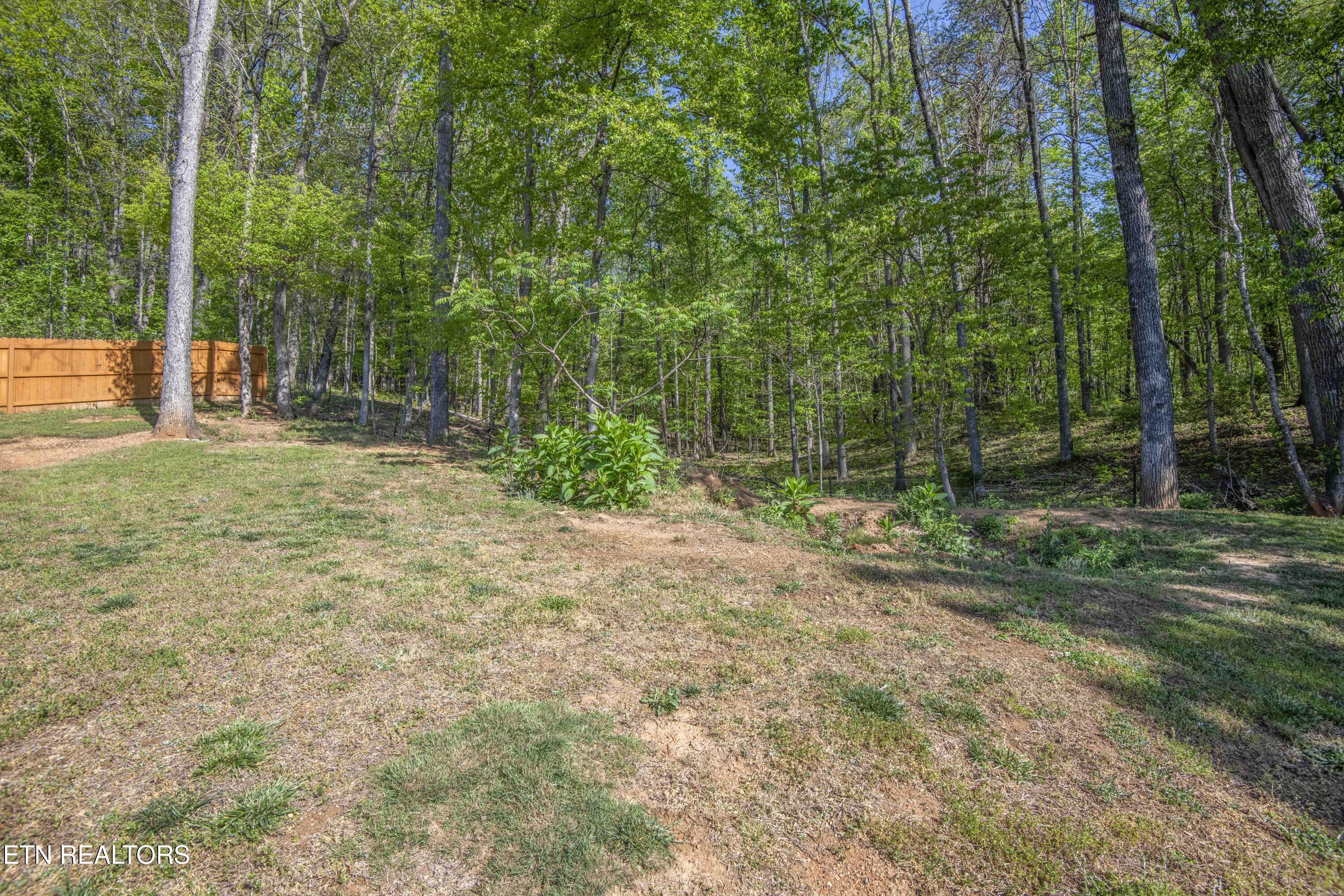 320 Signet Lane Maynardville, TN 37807 - Photo 45 of 51 yard 3_1
