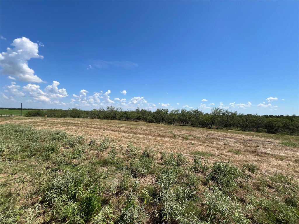 2630 County Road 466 Elgin, TX 78621 - Photo 4 of 4 a view of lake with mountain