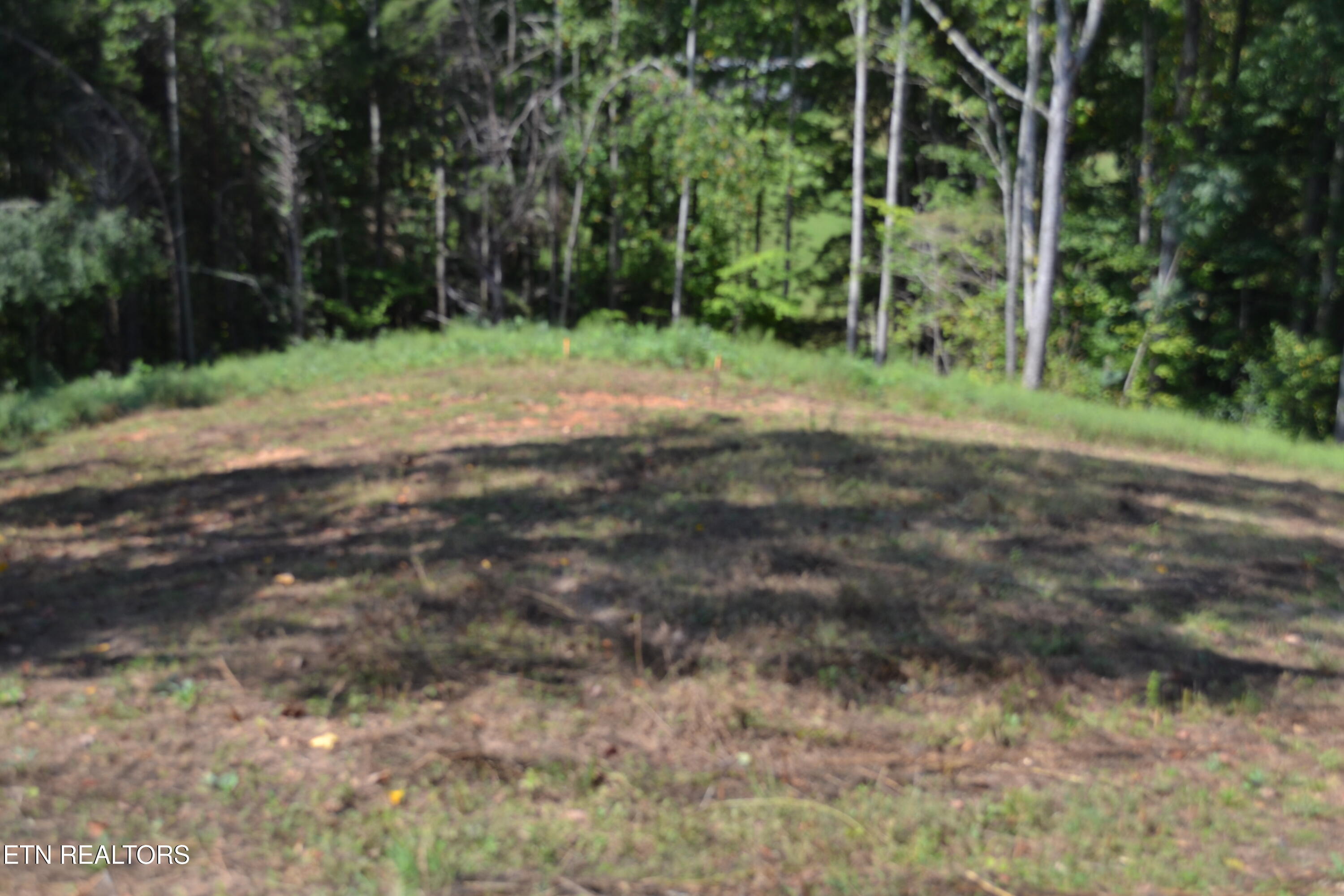 2376 Pea Ridge Fire Tower Road Celina, TN 38551 - Photo 5 of 23 DSC_0008