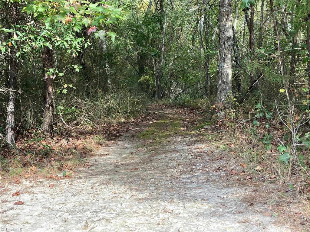 6743 Holts Store Road Julian, NC 27283 - Photo 9 of 27 Gallery Image 9