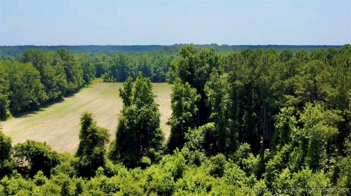 Rowan Road Lumberton, NC 28358 - Photo 12 of 14 a view of a lush green forest with lots of trees