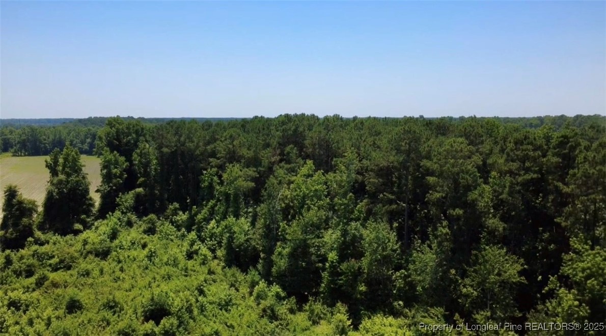 Rowan Road Lumberton, NC 28358 - Photo 13 of 14 a view of a city with lush green forest