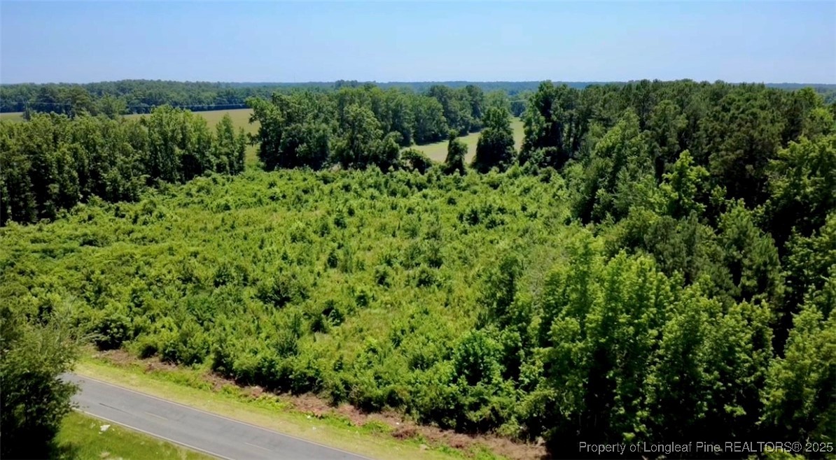 Rowan Road Lumberton, NC 28358 - Photo 4 of 14 a view of a lush green forest with lots of trees