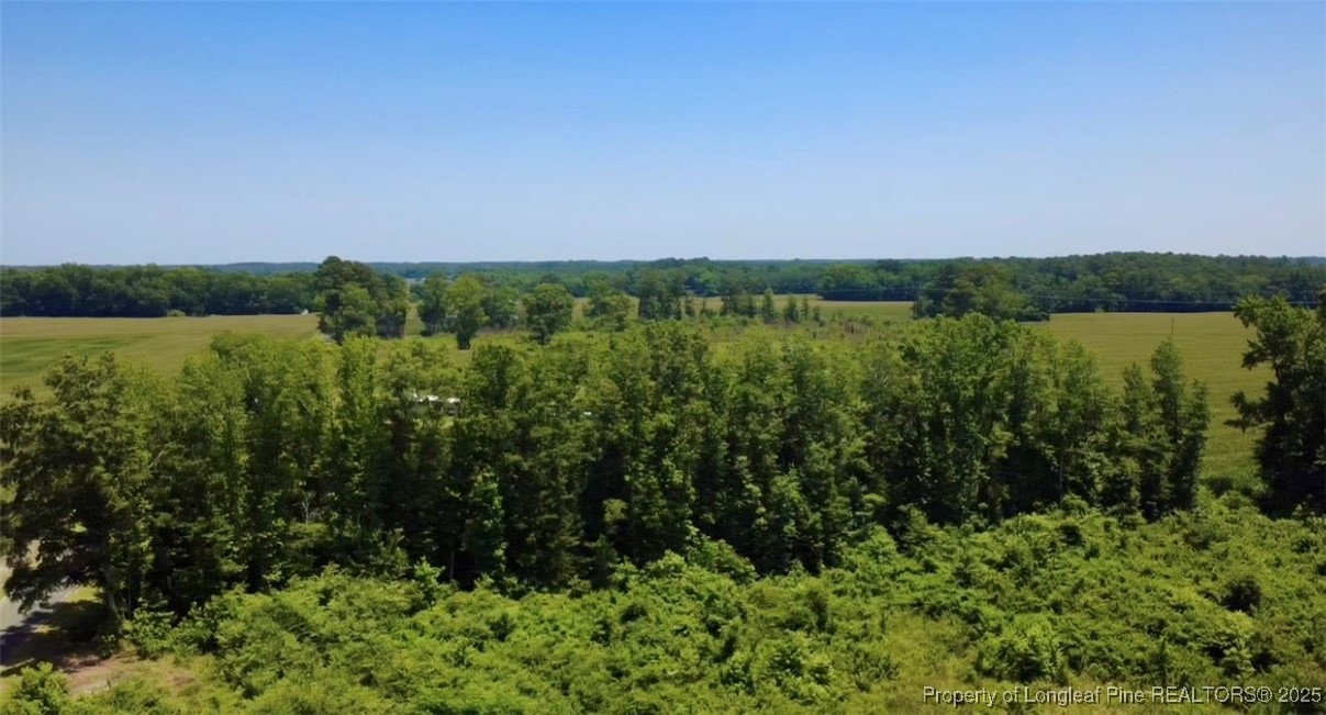 Rowan Road Lumberton, NC 28358 - Photo 5 of 14 a view of a green field with lots of bushes