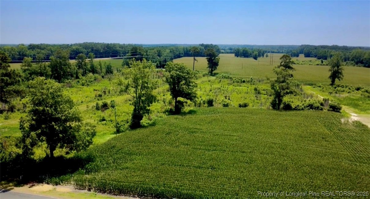 Rowan Road Lumberton, NC 28358 - Photo 9 of 14 a view of a green field