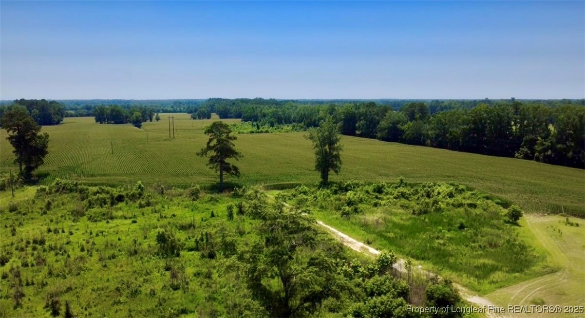 Rowan Road Lumberton, NC 28358 - Photo 10 of 14 a view of a lake with a big yard