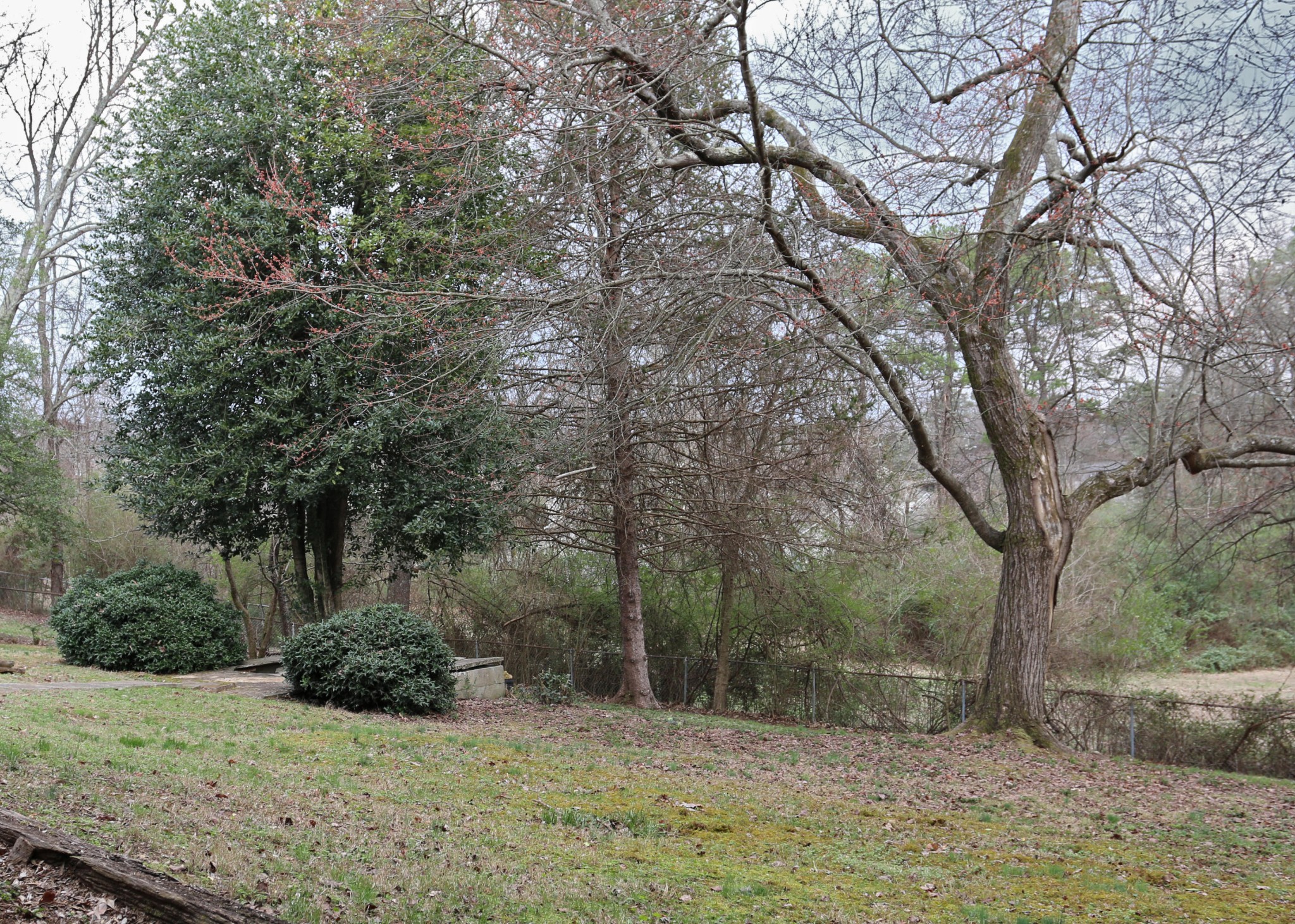 7716 Nubbin Ridge Road Knoxville, TN 37919 - Photo 34 of 36 Gallery Image 34
