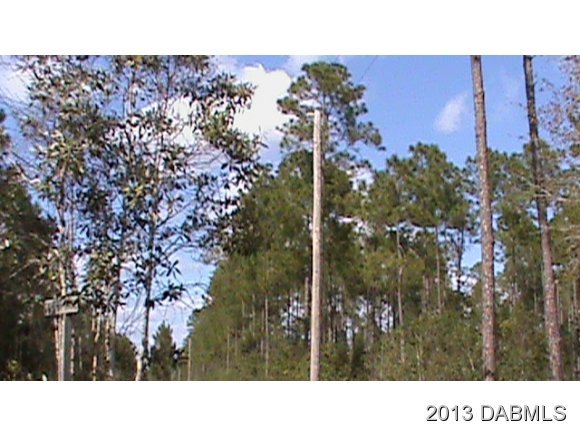 1345 Skeeter Ranch Road DeLand, FL 32724 - Photo 8 of 14 Additional Photo