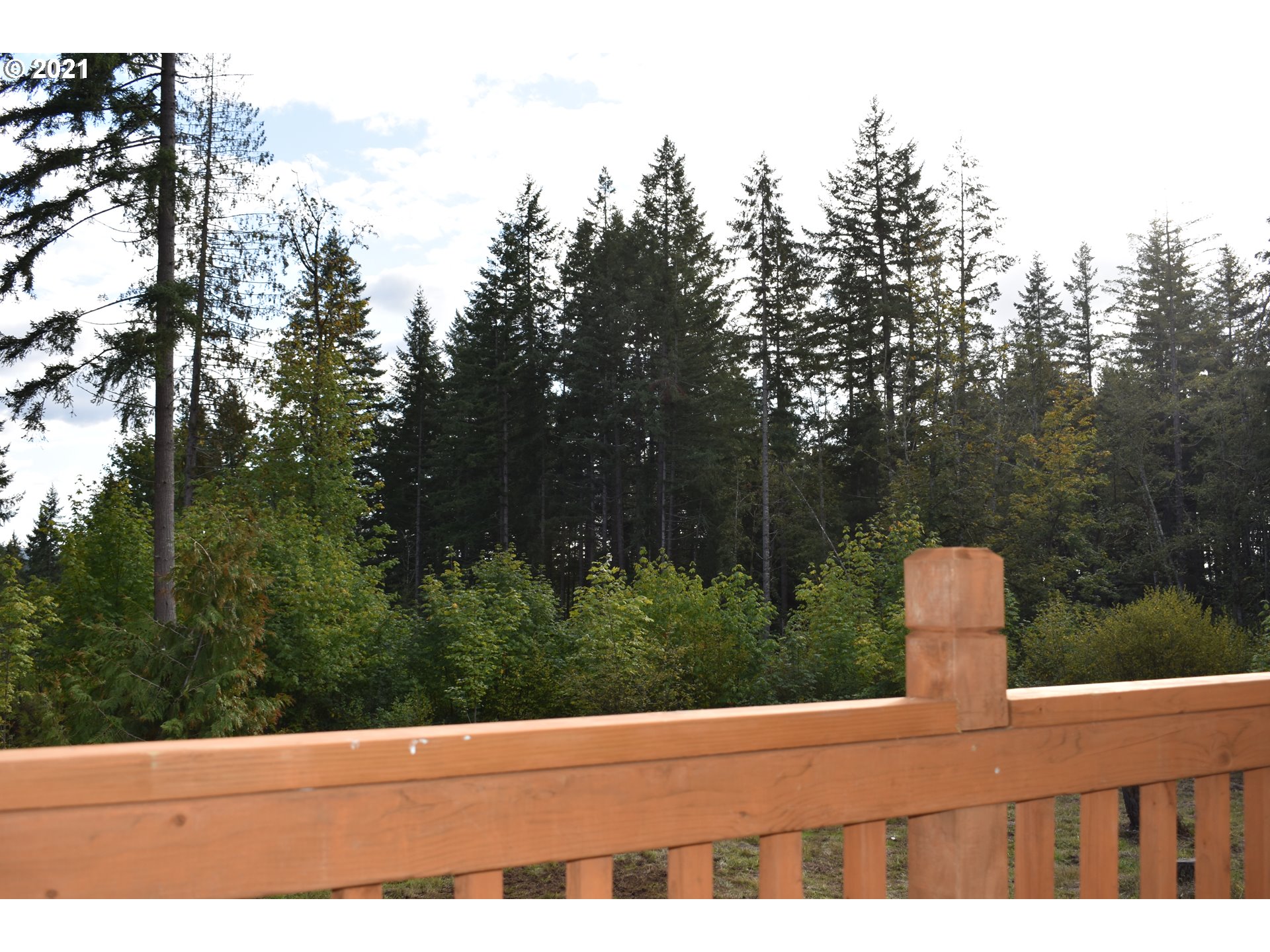 23243 South Bonney Road Colton, OR 97017 - Photo 30 of 32 a view of a yard