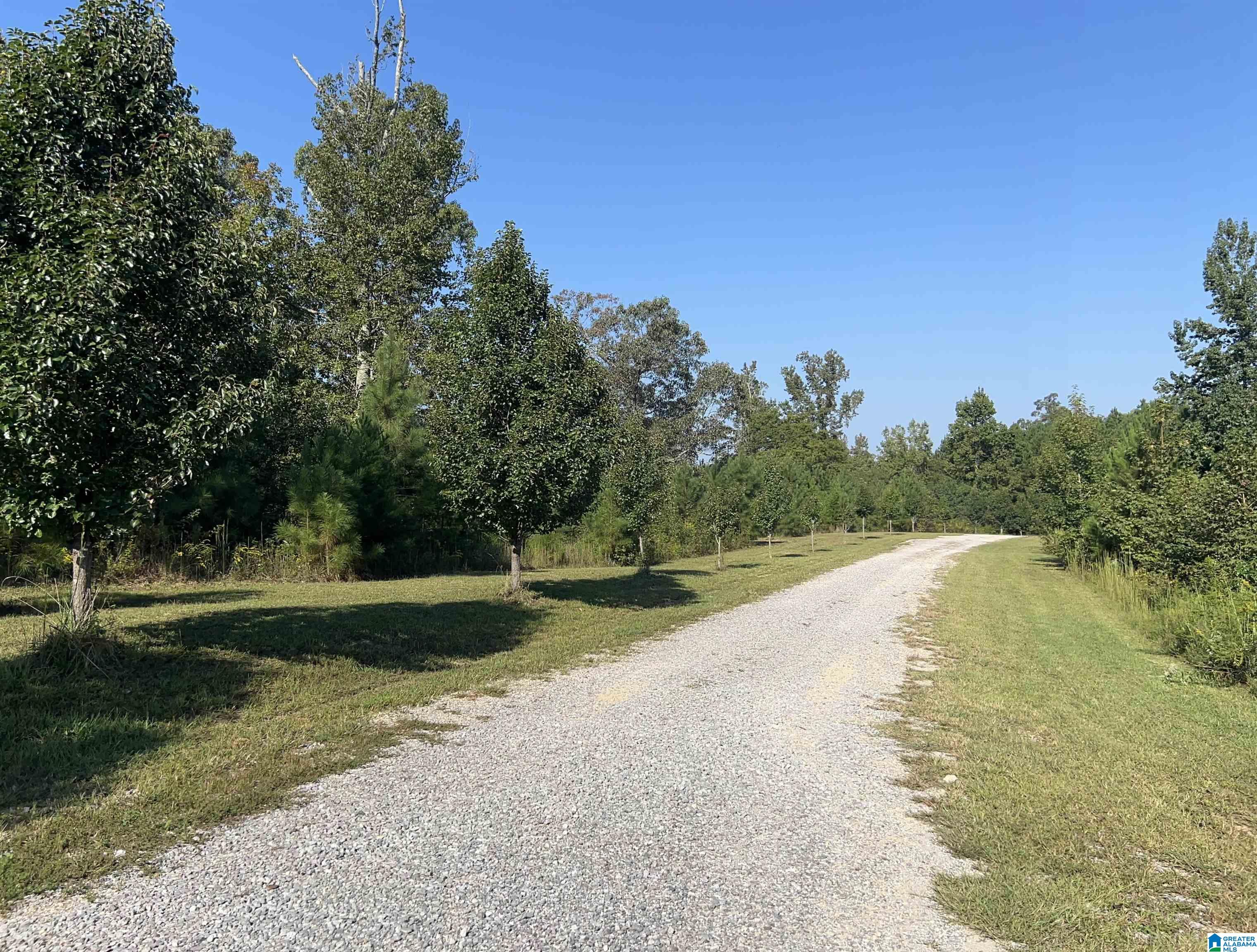 675 Parr Road Gadsden, AL 35904 - Photo 15 of 15