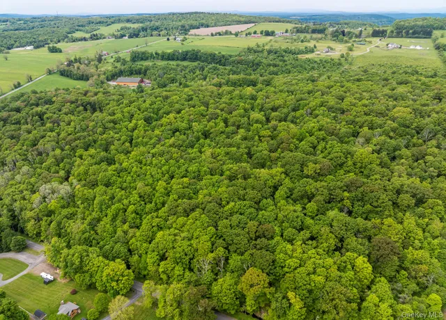 a view of a green field with lots of bushes